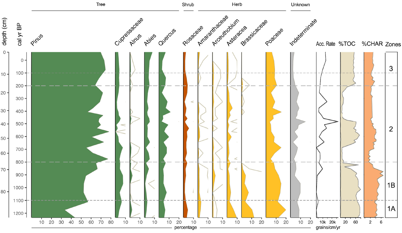 Sample pollen diagram created in Palyoplot